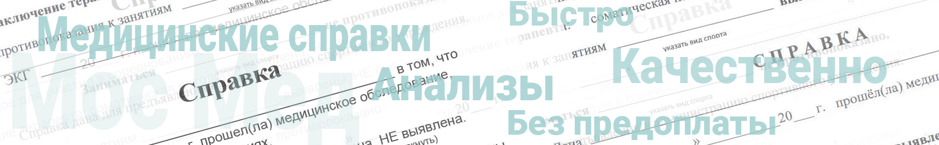 Оформить справку для Госслужбы Москва
